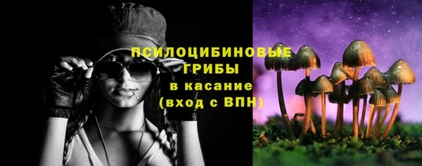 а пвп мука Абаза