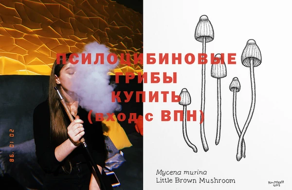а пвп мука Абаза