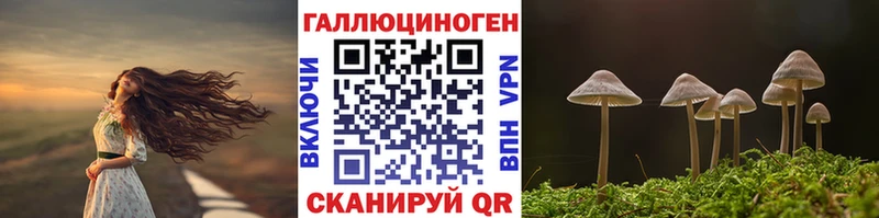 Псилоцибиновые грибы Psilocybine cubensis Темников